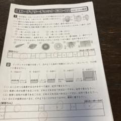 サピックス SAPIX 6年 理科 デイリーチェック テスト