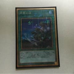 遊戯王 同胞の絆のサムネイル