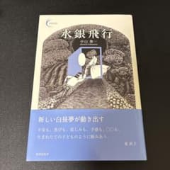 水銀飛行 中山俊 新潮社のサムネイル