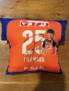 アルビレックス新潟藤原奏哉選手 クッションのサムネイル