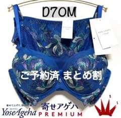D70M トリンプ プレミアム 脇から寄せてやさしくフィット ブラ＆ショーツ D70M トリンプ プレミアム 脇から寄せてやさしくフィット ブラ