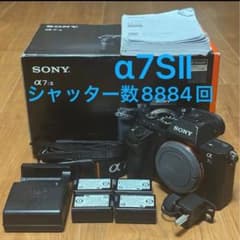 傷有 α7SⅡ ILCE-7SM2 シャッター回数8884回 ポップアップ様専用傷有 α7SⅡ ILCE-7SM2 シャッター回数8884回 - メルカリ