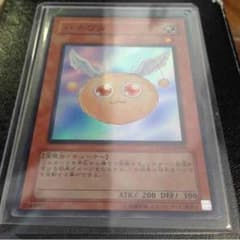 ハネワタのサムネイル