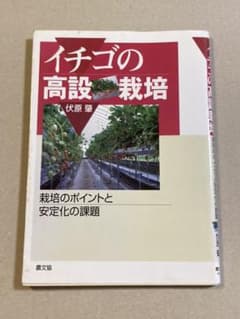 イチゴの高設栽培 : 栽培のポイントと安定化の課題のサムネイル