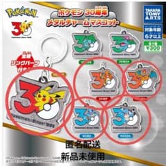 し*送様 ポケモン 30周年 メタルチャームマスコット 5種セットのサムネイル