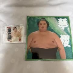 大相撲 七夕スクラッチアクリル色紙 パズルキーホルダー 琴櫻 隆の勝 - 2