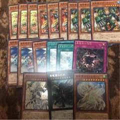 真竜 セットのサムネイル