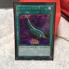 ハーピの羽根箒シクのサムネイル