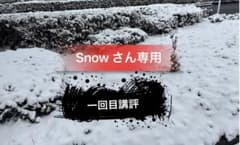 S no wさん専用 2025年度　中一 1回目講評のみのサムネイル