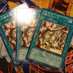 魔法族の里のサムネイル