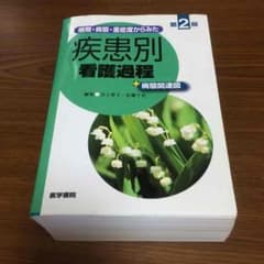 城主ぽん様♡専用病期・病態・重症度からみた 疾患別看護過程+病態関連図 第2版のサムネイル