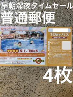 タイムセール　春秋限定　サマーランド　プール　チケット　フリーパス 4枚qhのサムネイル