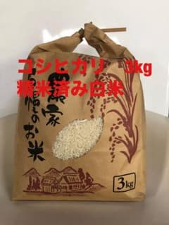 精米済み白米10kg 2025年収穫分コシヒカリ　三重県から 2025年夏収穫分コシヒカリ精米済み白米3kg 三重県から発送生産者直送お
