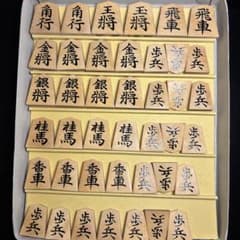 一平作 昇龍書 将棋駒 盛上駒 あまり歩1枚 - メルカリ