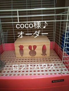coco様♪専用枠オーダーロフトハウスのサムネイル