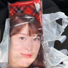 乃木坂46  生田絵梨花ブランケットのサムネイル