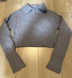 SNIDEL 新木優子コラボ ハーフジップ リブニット グレーのサムネイル