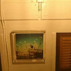 ムーミンママさん専用 アイクレオ 大缶×3個 800g +おまけのサムネイル