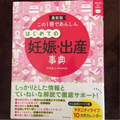 初めての妊娠、出産事典のサムネイル
