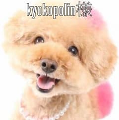 専用です。のサムネイル