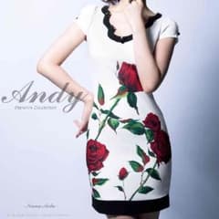 一度着用のみ かなり美品 andy ドレスのサムネイル