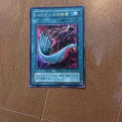 ハーピィの羽根帚のサムネイル