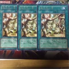 【遊戯王】魔法族の里 3枚 字レアのサムネイル