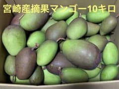 宮崎産摘果マンゴー10キロ - メルカリ
