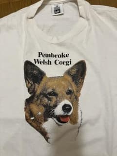 犬　ヴィンテージTシャツ　ダメージありのサムネイル