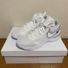 ZOOM LEBRON NXXT GEN EP  30cmのサムネイル