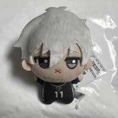 m47123025418_1.jpg?1725554111