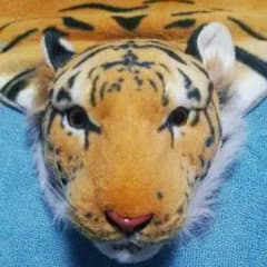 トラ　マット　虎　カーペットのサムネイル