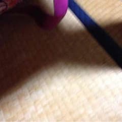 マシュウ様専用のサムネイル