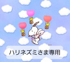 ハリネズミさま専用です♡家計簿&スケジュール帳のサムネイル