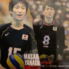 柳田将洋選手 公式トレーディングカードセット 16枚 - メルカリ