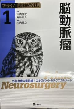 プライム脳神経外科1　脳動脈瘤のサムネイル