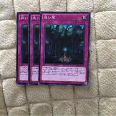 遊戯王  迷い風のサムネイル