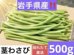茎わさび　500g (ネコポス)のサムネイル