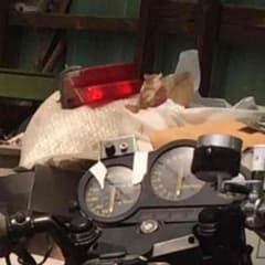 CBR様専用のサムネイル