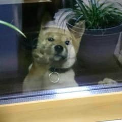 ひらぽんさん専用のサムネイル