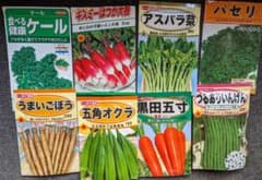 春まき　野菜の種8種類　おまけ2種付きのサムネイル