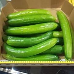 ちゃまま様専用朝取れきゅうりのサムネイル
