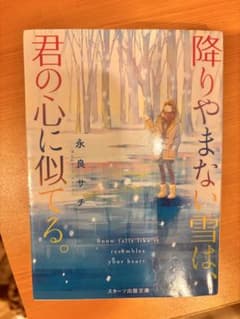 降りやまない雪は、君の心に似てる。 永良サチ スターツ出版文庫のサムネイル