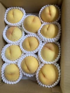 845.数量限定福島産 朝採り完熟黄金桃 マンゴーピーチ箱込み2.6kg家庭