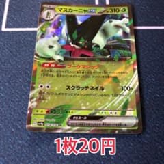 m47171387875_1.jpg?1731400780