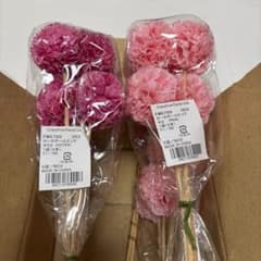 母の日　カーネーションピック　24本セットのサムネイル