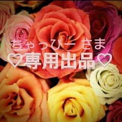 ちゃっぴー さま♡専用ページのサムネイル