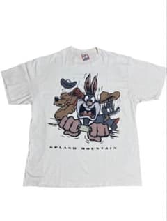 90s ディズニー スプラッシュマウンテン Tシャツのサムネイル