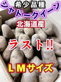 シャドークィーン(紫色のジャガイモ)アントシアニンたっぷり　北海道産5kgLMのサムネイル
