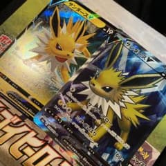 【即購入OK】サンダースv sr v 2枚セットのサムネイル